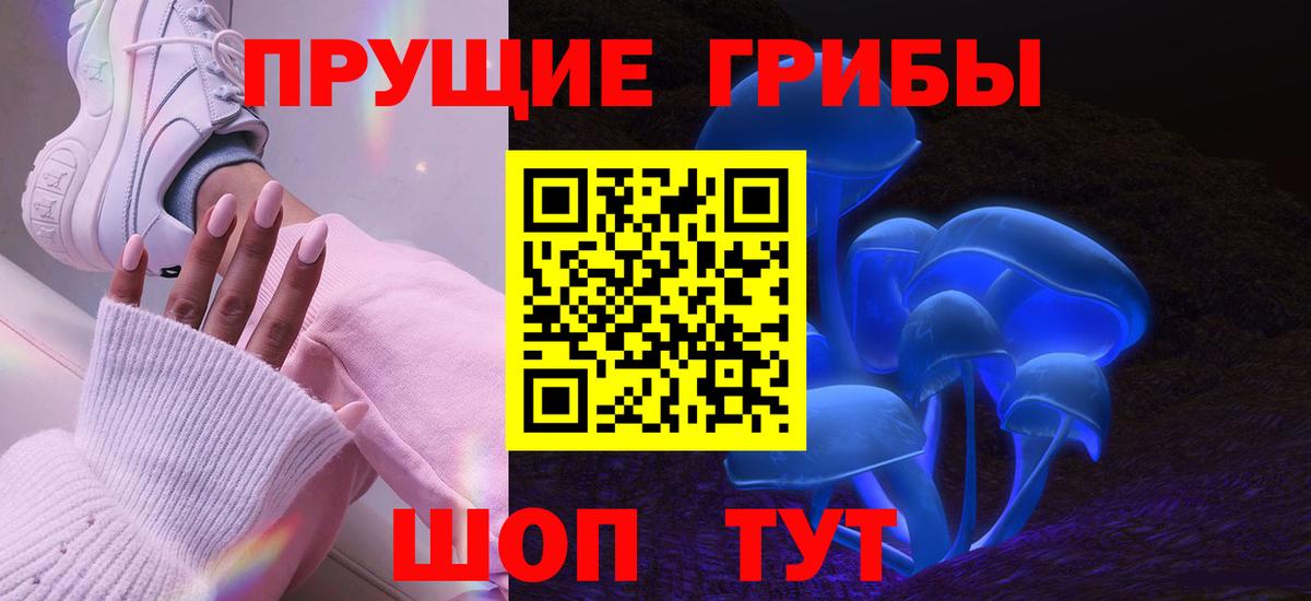 Галлюциногенные грибы Psilocybine cubensis Владивосток